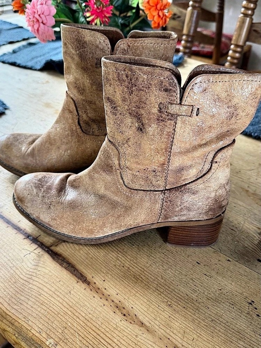 Women's Diba True Brown Ankle Boots